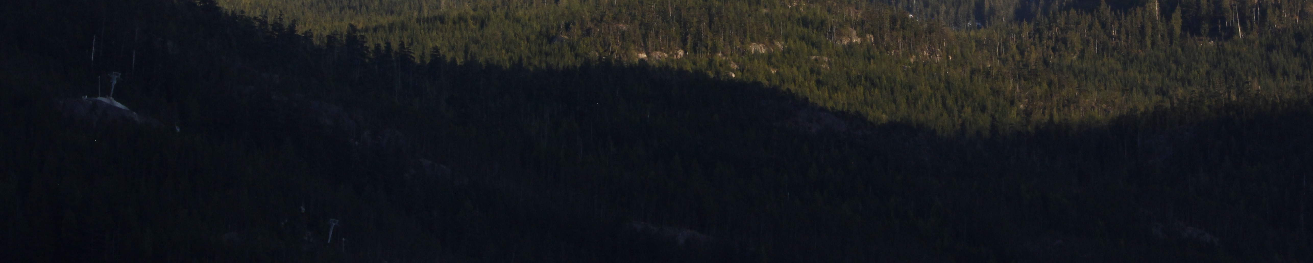 Photograph by Shervin Hakimi